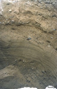 This test pit showed a sequence of gravelly sand, sand, and more gravelly sand. The gravel contents are relatively low in this test pit.