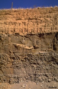  This cut exposure in the pit wall shows 1-2 m of silty clay near the ground surface, underlain by interbedded layers of sand, gravelly sand, and sandy gravel.