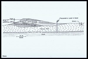 Cross-section through a levee on Jersey Island in the California Delta. The levees in the area have been built up a few inches at a time, using small equipment and available materials, without engineering input. The distribution of materials in the levees is far from optimum. As a result, erosion and piping problems are frequent, and there have been many levee failures.