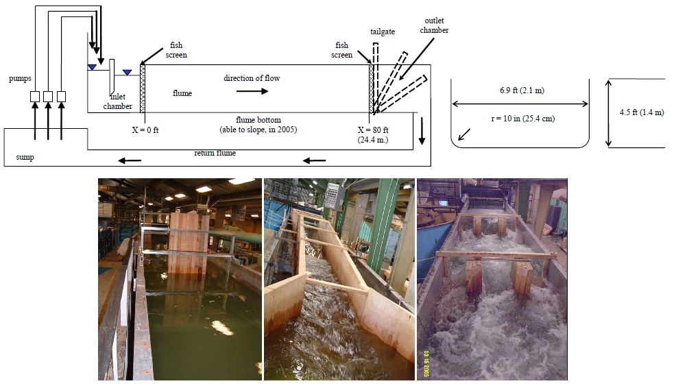 IndoorFlume