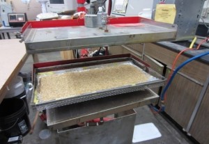 IR drying of rice